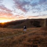 The Residences at Carbon Beach