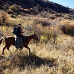 The Residences at Carbon Beach