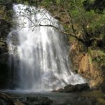 The Residences at Carbon Beach
