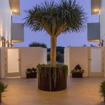 The Residences at Carbon Beach